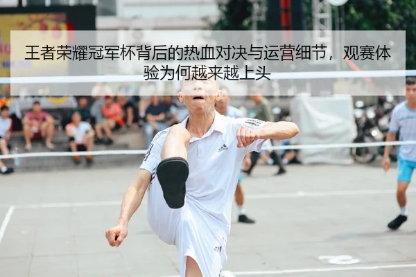 王者荣耀冠军杯背后的热血对决与运营细节,观赛体验为何越来越上头